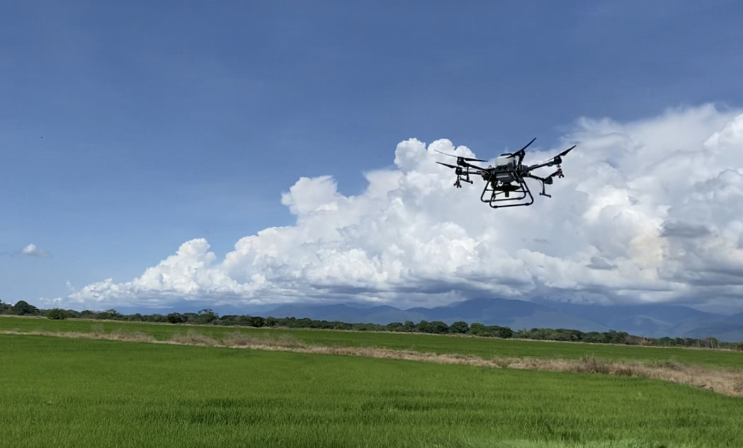 Drone AgroSky sobrevolando cultivo de arroz en Colombia
